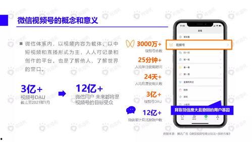网友爆料薯条视频下载软件,网友爆料下载软件大揭秘  第3张